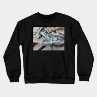 Water, nature and plants Crewneck Sweatshirt